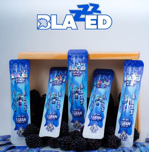 Blue Razz Disposable