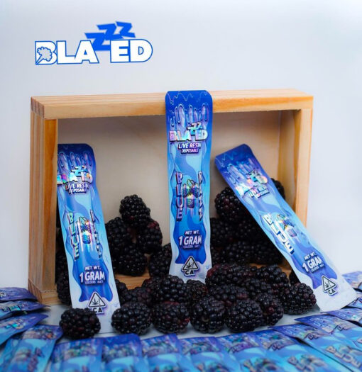 Blue Razz Disposable