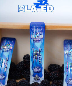 Blue Razz Disposable