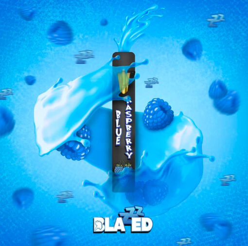 Blue Raspberry Disposable