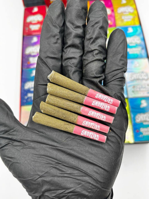 Snoozies Minis Prerolls : Snooze or Lose